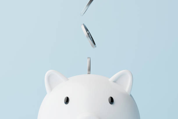 piggy bank